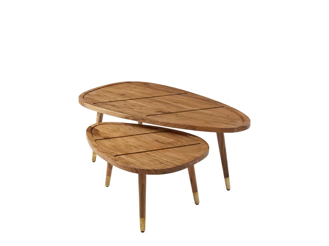 COFFEE TABLE SET OF 2