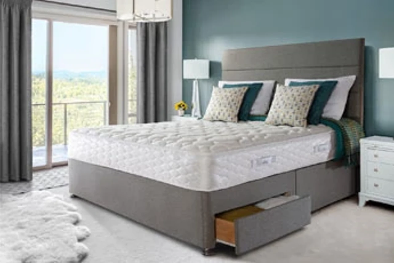 Sealy Buyingguide